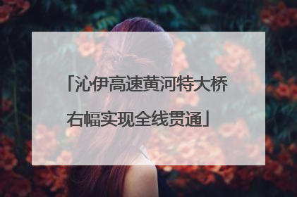 沁伊高速黄河特大桥右幅实现全线贯通