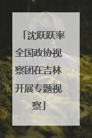 沈跃跃率全国政协视察团在吉林开展专题视察