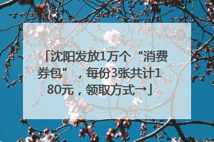 沈阳发放1万个“消费券包”，每份3张共计180元，领取方式→