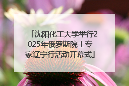沈阳化工大学举行2025年俄罗斯院士专家辽宁行活动开幕式