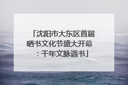 沈阳市大东区首届晒书文化节盛大开幕：千年文脉遇书