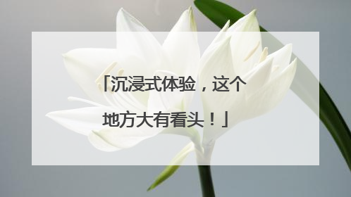 沉浸式体验，这个地方大有看头！