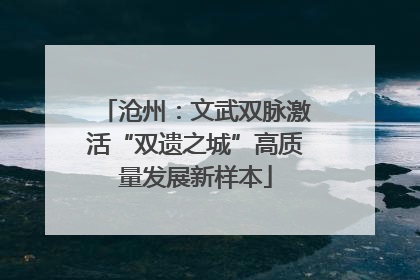 沧州：文武双脉激活“双遗之城”高质量发展新样本