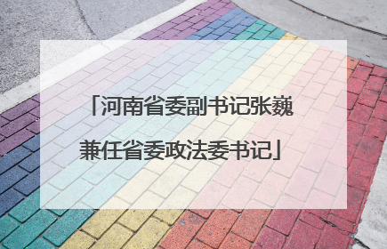 河南省委副书记张巍兼任省委政法委书记