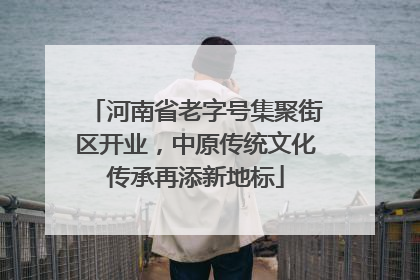 河南省老字号集聚街区开业，中原传统文化传承再添新地标