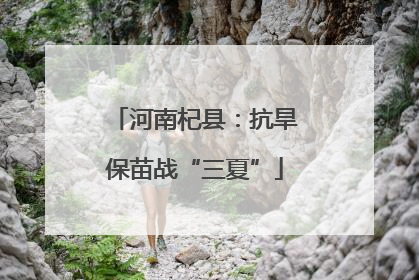 河南杞县：抗旱保苗战“三夏”