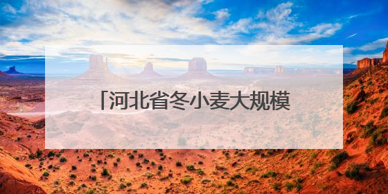 河北省冬小麦大规模机收工作全面启动
