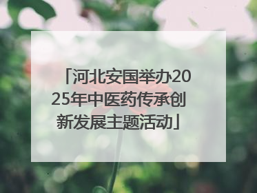 河北安国举办2025年中医药传承创新发展主题活动
