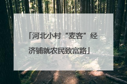 河北小村“麦客”经济铺就农民致富路