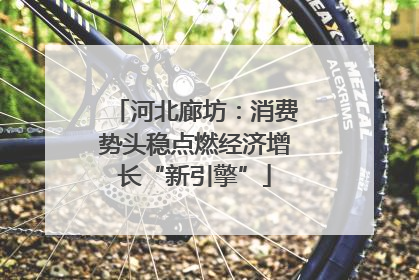 河北廊坊：消费势头稳点燃经济增长“新引擎”
