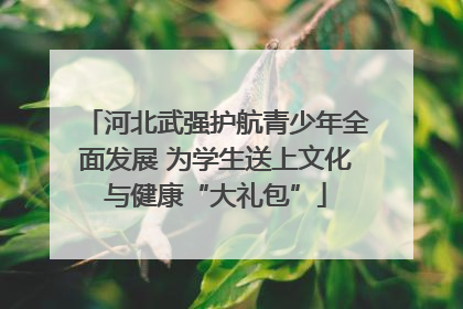 河北武强护航青少年全面发展 为学生送上文化与健康“大礼包”