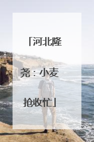 河北隆尧：小麦抢收忙