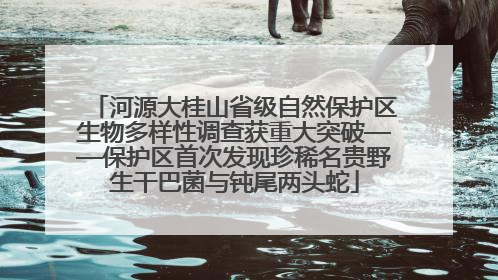 河源大桂山省级自然保护区生物多样性调查获重大突破——保护区首次发现珍稀名贵野生干巴菌与钝尾两头蛇