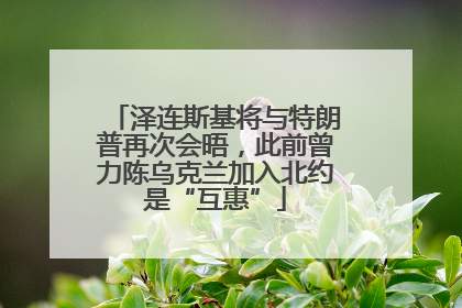 泽连斯基将与特朗普再次会晤，此前曾力陈乌克兰加入北约是“互惠”