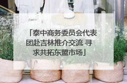 泰中商务委员会代表团赴吉林推介交流 寻求共拓东盟市场