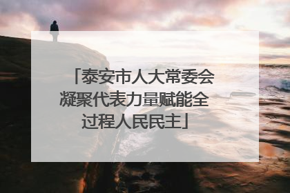 泰安市人大常委会凝聚代表力量赋能全过程人民民主