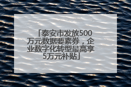 泰安市发放500万元数据要素券，企业数字化转型最高享5万元补贴