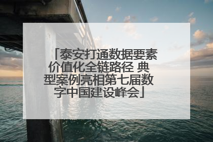 泰安打通数据要素价值化全链路径 典型案例亮相第七届数字中国建设峰会