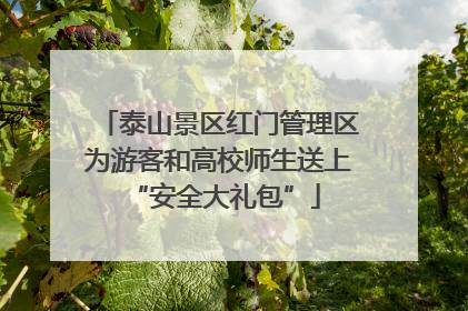 泰山景区红门管理区为游客和高校师生送上 “安全大礼包”