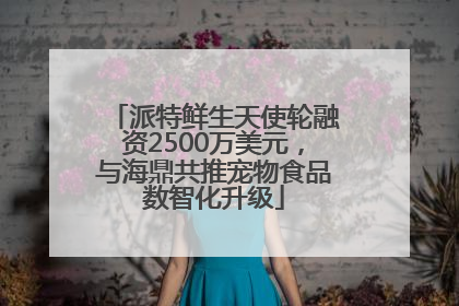 派特鲜生天使轮融资2500万美元，与海鼎共推宠物食品数智化升级