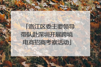 洛江区委主要领导带队赴深圳开展跨境电商招商考察活动