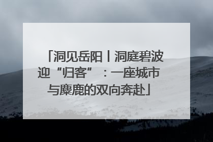 洞见岳阳丨洞庭碧波迎“归客”：一座城市与麋鹿的双向奔赴