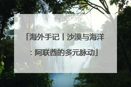 海外手记丨沙漠与海洋：阿联酋的多元脉动