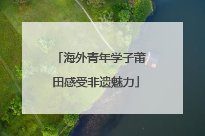 海外青年学子莆田感受非遗魅力