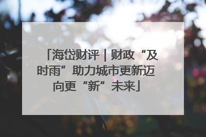 海岱财评｜财政“及时雨”助力城市更新迈向更“新”未来