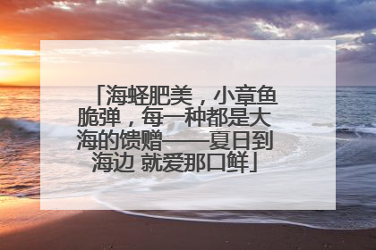 海蛏肥美，小章鱼脆弹，每一种都是大海的馈赠——夏日到海边 就爱那口鲜