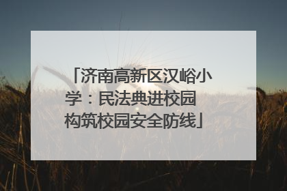 济南高新区汉峪小学：民法典进校园 构筑校园安全防线