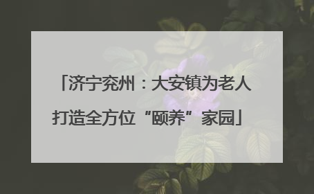 济宁兖州：大安镇为老人打造全方位“颐养”家园