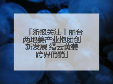 浙报关注丨丽台两地姜产业抱团创新发展 缙云黄姜跨界俏销