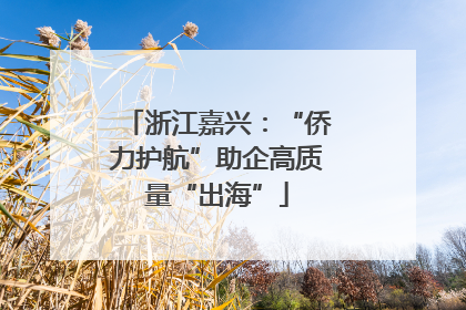 浙江嘉兴：“侨力护航”助企高质量“出海”