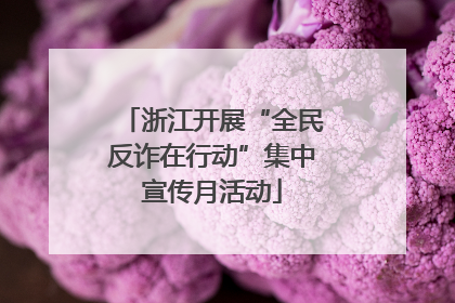 浙江开展“全民反诈在行动”集中宣传月活动