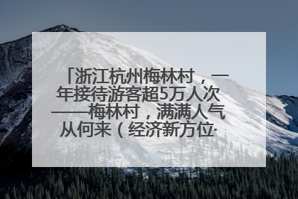 浙江杭州梅林村,一年接待游客超5万人次——梅林村,满满人气从何来(经济新方位·农村消费观察)