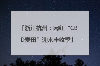 浙江杭州：网红“CBD麦田”迎来丰收季