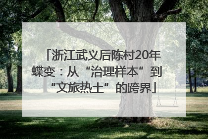 浙江武义后陈村20年蝶变：从“治理样本”到“文旅热土”的跨界