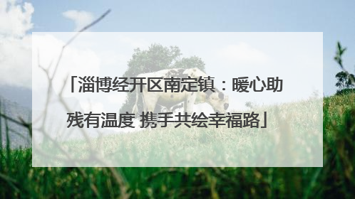 淄博经开区南定镇：暖心助残有温度 携手共绘幸福路