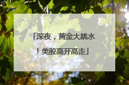 深夜，黄金大跳水！美股高开高走