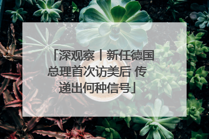 深观察丨新任德国总理首次访美后 传递出何种信号