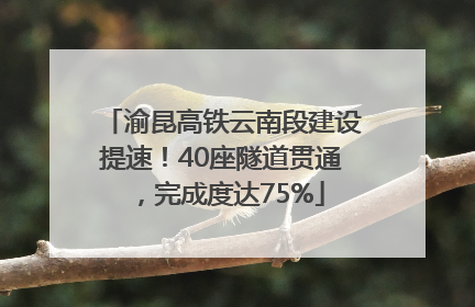 渝昆高铁云南段建设提速！40座隧道贯通，完成度达75%
