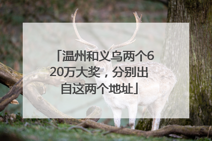 温州和义乌两个620万大奖，分别出自这两个地址