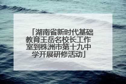 湖南省新时代基础教育王岳名校长工作室到株洲市第十九中学开展研修活动