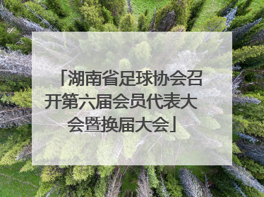 湖南省足球协会召开第六届会员代表大会暨换届大会