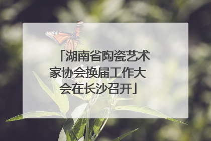 湖南省陶瓷艺术家协会换届工作大会在长沙召开