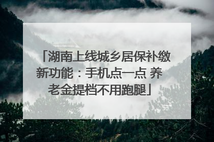 湖南上线城乡居保补缴新功能：手机点一点 养老金提档不用跑腿