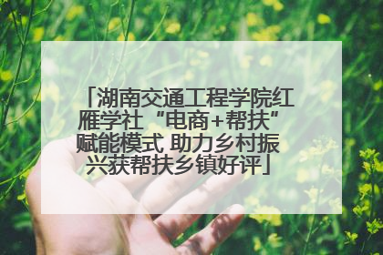 湖南交通工程学院红雁学社“电商+帮扶”赋能模式 助力乡村振兴获帮扶乡镇好评