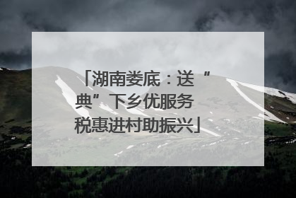 湖南娄底：送“典”下乡优服务 税惠进村助振兴