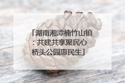 湖南湘潭楠竹山镇：共建共享聚民心 桥头公园惠民生